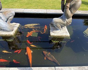 Guest house 600754 - Holiday property Schouwen-Duiveland - VZ712 Appartement Renesse