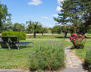 Guest house 600762 - Holiday property Schouwen-Duiveland - Huisje in Renesse