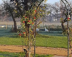 Guest house 600762 - Holiday property Schouwen-Duiveland - Huisje in Renesse