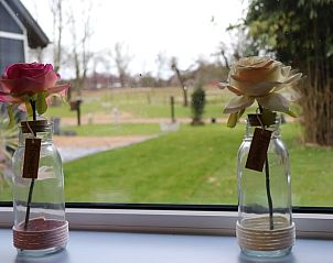 Guest house 600762 - Holiday property Schouwen-Duiveland - Huisje in Renesse