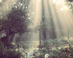 Guest house 600762 - Holiday property Schouwen-Duiveland - Huisje in Renesse