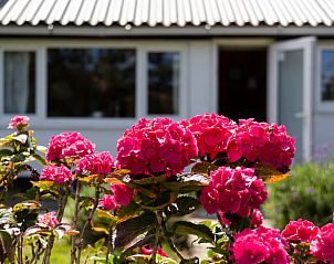 Guest house 600762 - Holiday property Schouwen-Duiveland - Huisje in Renesse