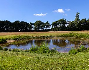 Pond in the garden of Huisje in Renesse, a vacation home in beautiful Renesse, Zeeland.