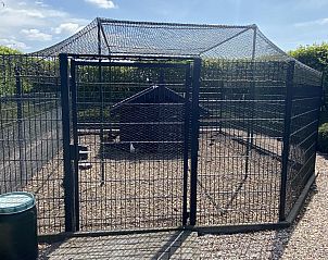 Vijver met kleurrijke vissen bij VZ735 Appartement Renesse, perfect voor natuurliefhebbers.