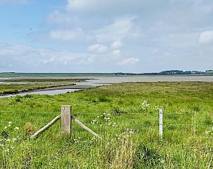 Natuurlijke omgeving van VZ182 Vakantiehuis Kerkwerve in Schouwen-Duiveland.