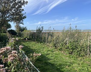 Veranda van vakantiehuis ZE182 in Kerkwerve omringd door natuur, Schouwen-Duiveland, Zeeland.