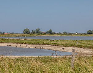 Guest house 600808 - Holiday property Schouwen-Duiveland - ZE182