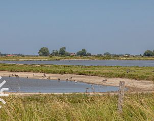 Guest house 600809 - Holiday property Schouwen-Duiveland - ZE1449