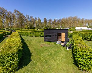 Verblijf 600814 - Appartement Schouwen-Duiveland - Appartement Tiny Cabin Sunshine no 21