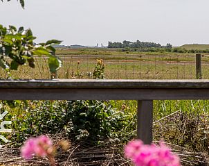 Guest house 600816 - Holiday property Schouwen-Duiveland - ZE724