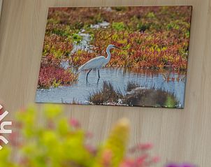 Guest house 600816 - Holiday property Schouwen-Duiveland - ZE724