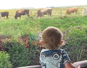 Guest house 600817 - Holiday property Schouwen-Duiveland - Vakantiehuisje in Kerkwerve