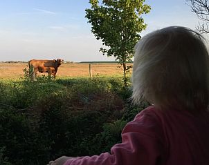 Guest house 600817 - Holiday property Schouwen-Duiveland - Vakantiehuisje in Kerkwerve