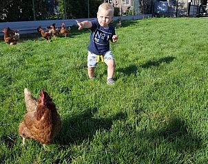 Guest house 600817 - Holiday property Schouwen-Duiveland - Vakantiehuisje in Kerkwerve