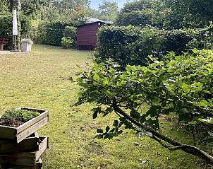 Unterkunft 600905 - Chalet Schouwen-Duiveland - Vakantiewoning Populierenlaan 13, "Veldzicht"