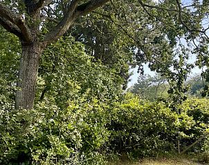 Unterkunft 600905 - Chalet Schouwen-Duiveland - Vakantiewoning Populierenlaan 13, "Veldzicht"