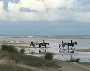 Unterkunft 600906 - Ferienhaus Schouwen-Duiveland - Huisje in Nieuw-Haamstede