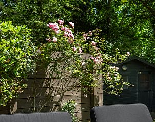 Unterkunft 600908 - Chalet Schouwen-Duiveland - Vakantiewoning Populierenlaan 21, "Lodge to Lounge"