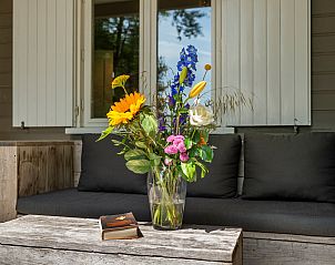 Unterkunft 600908 - Chalet Schouwen-Duiveland - Vakantiewoning Populierenlaan 21, "Lodge to Lounge"