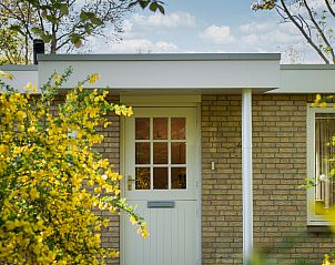 Unterkunft 600914 - Bungalow Schouwen-Duiveland - Vakantiewoning Acacialaan 1, "De Steltloper"