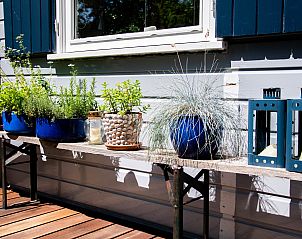 Unterkunft 600921 - Chalet Schouwen-Duiveland - Natuurhuisje Berkenpad 5