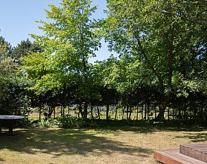 Unterkunft 600921 - Chalet Schouwen-Duiveland - Natuurhuisje Berkenpad 5