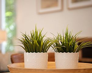 Unterkunft 600924 - Bungalow Schouwen-Duiveland - Vakantiewoning Acacialaan 7 "De Zilvermeeuw"