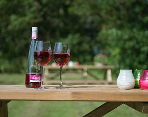 Buiten genieten met wijn in Vakantiehuis in Noordwelle, Zeeland.