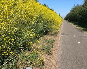 Unterkunft 601313 - Ferienhaus Schouwen-Duiveland - Huisje in Zonnemaire