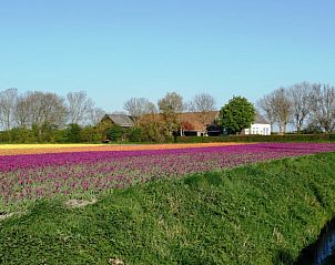 Unterkunft 601314 - Ferienhaus Schouwen-Duiveland - Huisje in Zonnemaire