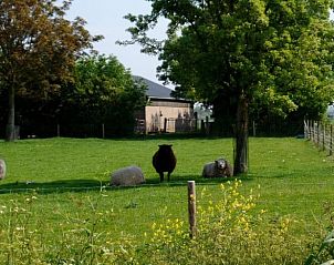Unterkunft 601314 - Ferienhaus Schouwen-Duiveland - Huisje in Zonnemaire