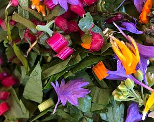 Unterkunft 601315 - Ferienhaus Schouwen-Duiveland - Vakantiehuis in Zonnemaire