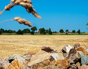 Unterkunft 601316 - Ferienhaus Schouwen-Duiveland - Huisje in Zonnemaire