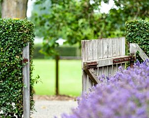 Unterkunft 601337 - Ferienhaus Schouwen-Duiveland - Huisje in Zonnemaire