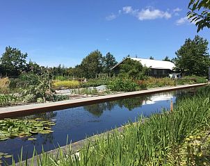 Prachtige tuin bij Vakantiehuis in Zonnemaire, perfect voor natuurliefhebbers, Zeeland.