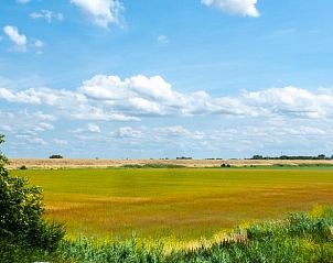 Uitgestrekt landschap rondom Vakantiehuis in Zonnemaire, ideaal voor wandelingen, Zeeland.