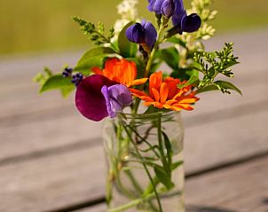 Bloemen in een vaas bij Vakantiehuis in Zonnemaire, een vleugje natuur in Zeeland.