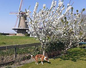 Unterkunft 601342 - Ferienhaus Schouwen-Duiveland - Vakantiehuisje in Zonnemaire