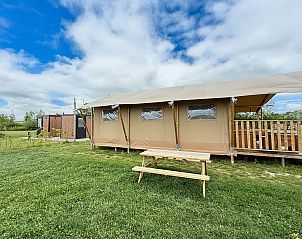 Unterkunft 601346 - Ferienhaus Schouwen-Duiveland - Vakantiehuis Camping Hofstede Zonnevliet - Safaritent