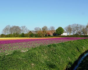 Unterkunft 601347 - Ferienhaus Schouwen-Duiveland - Vakantiehuis Camping Hofstede Zonnevliet - Buitenlust