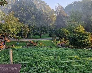 Guest house 601803 - Holiday property Schouwen-Duiveland - Vakantiehuisje in Dreischor