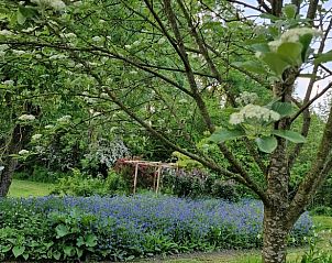 Guest house 601803 - Holiday property Schouwen-Duiveland - Vakantiehuisje in Dreischor