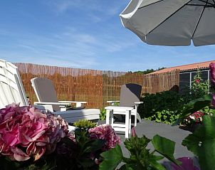 Zonnig terras bij Vakantiehuis in Noordgouwe met comfortabele stoelen en kleurrijke bloemen.