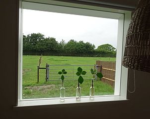 Uitzicht op groene velden vanuit Vakantiehuis in Noordgouwe, perfect voor natuurliefhebbers in Zeeland.