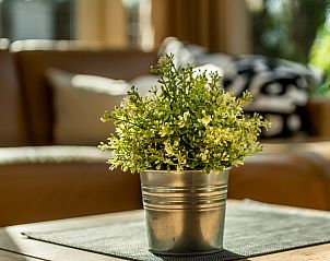 Unterkunft 603212 - Ferienhaus Schouwen-Duiveland - Vakantiehuis Westerduyn 4, "De Zwerfkei"