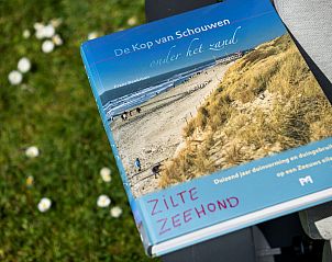 Unterkunft 603213 - Ferienhaus Schouwen-Duiveland - Vakantiehuis Westerduyn 5, "De Zilte Zeehond"