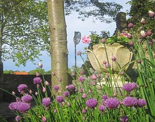 Unterkunft 603222 - Ferienhaus Schouwen-Duiveland - "Het Atelier" by the sea and 300ha woods 