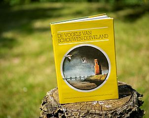 Guest house 603407 - Bungalow Schouwen-Duiveland - Vakantiewoning Salvatorhoeve 46