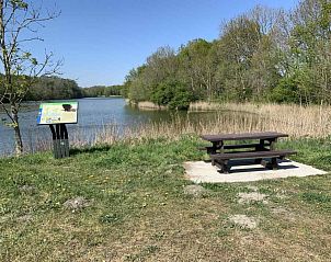 Guest house 603417 - Holiday property Schouwen-Duiveland - ZE648