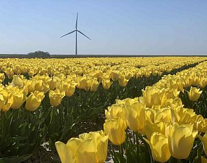 Guest house 603418 - Holiday property Schouwen-Duiveland - ZE836